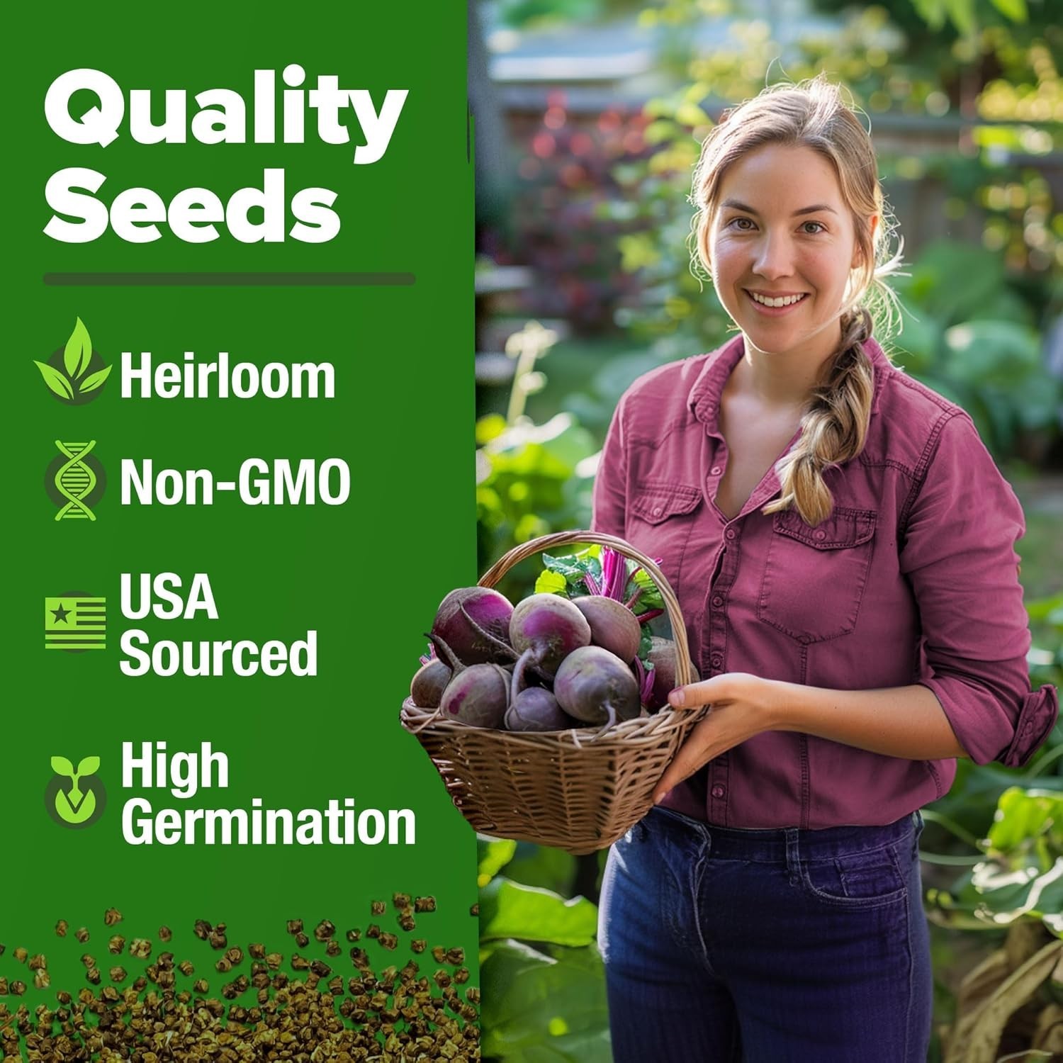Detroit Dark Red Beet Seeds 2 Pack – Non-GMO, High Germination for Easy Growing