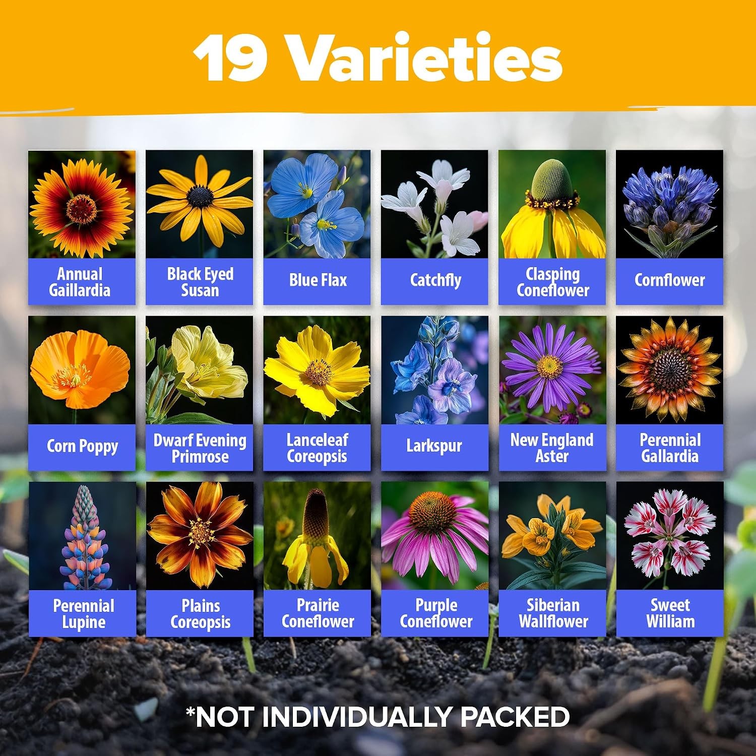Midwest Heirloom Wildflower Seeds Mix 65,000+ Perennial Flowers Heirloom Seed