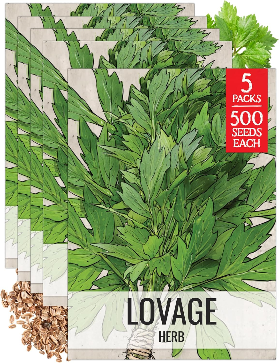 Lovage Seeds for Planting – Non-Gmo Heirloom & Untreated Herbs to Plant a Medici