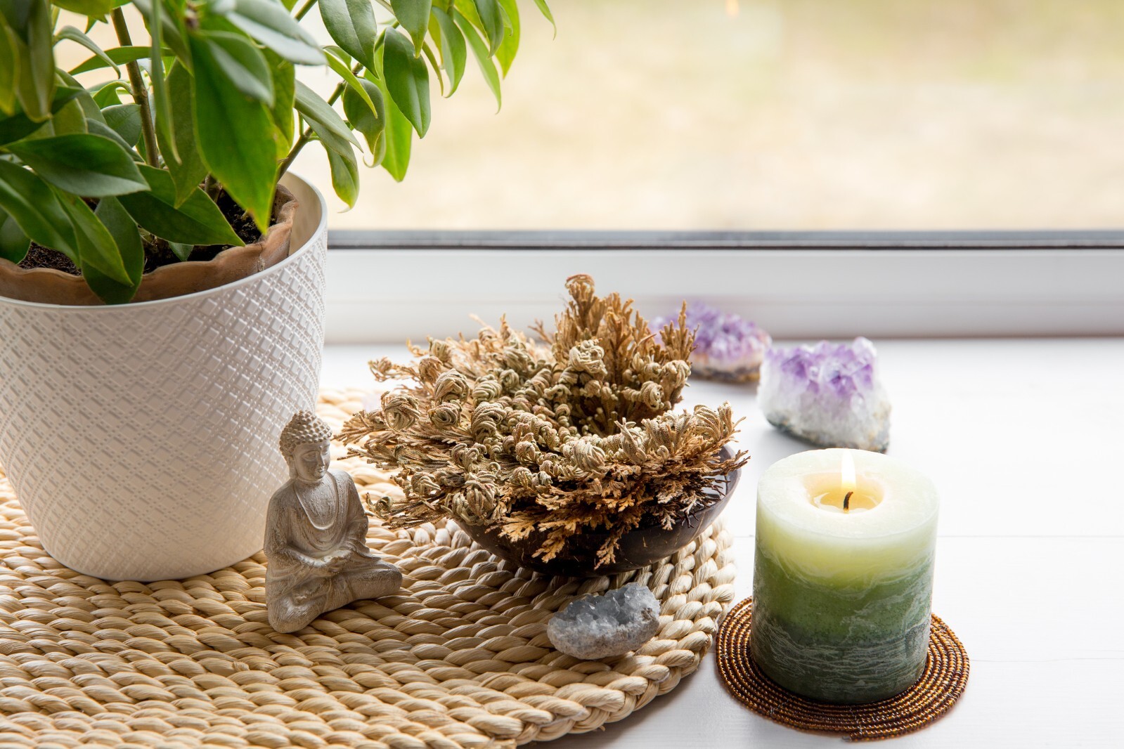 Rose of Jericho Flower Resurrection Rose Flor de Peña Selaginella Lepidoph Plant