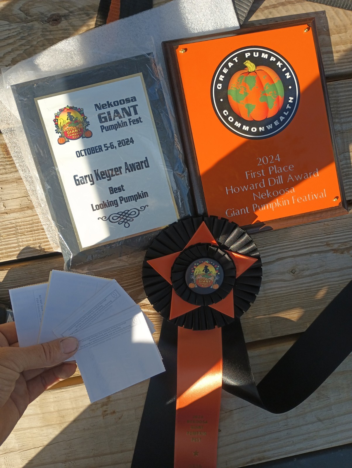 Giant Pumpkin Seeds 2024! Incredible Color And Shape! Howard Dill Award Winning