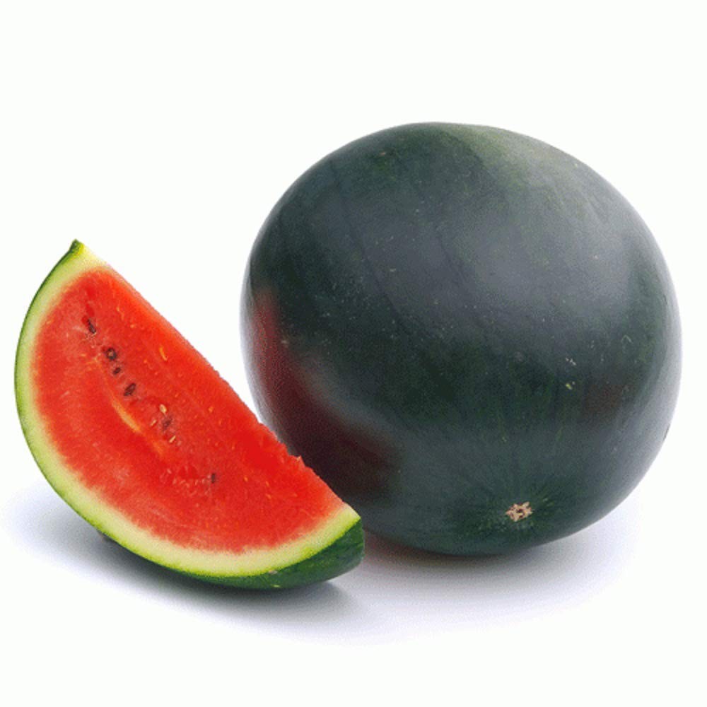 Sugar Baby Watermelon Seeds,25 Count COOL BEANS N SPROUTS Brand. Heirloom. Non-G