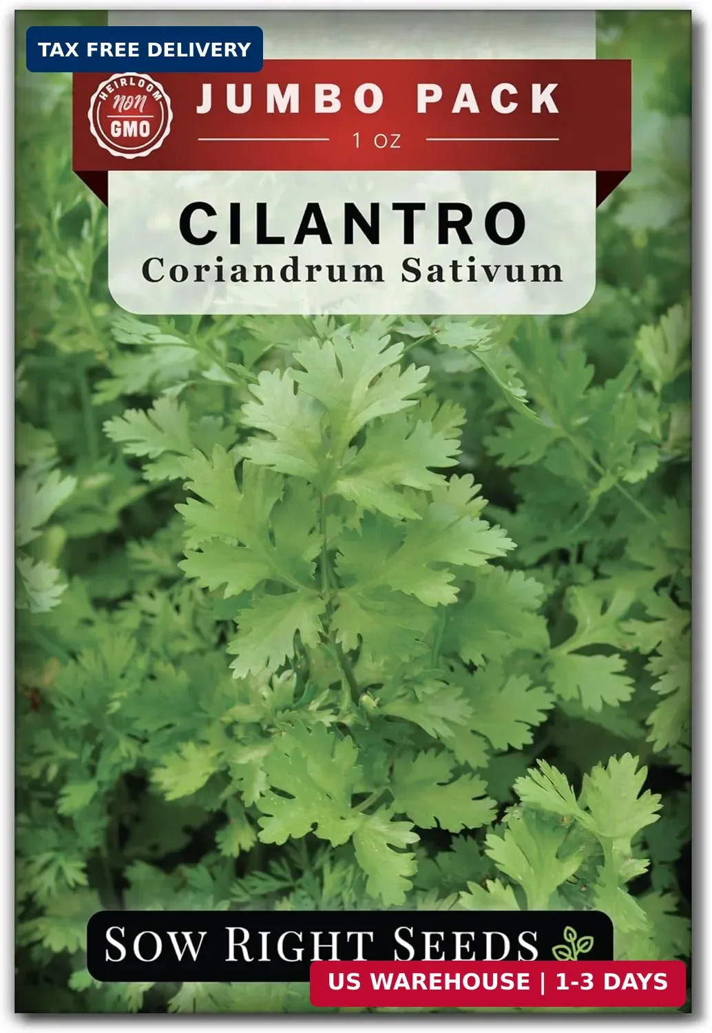 Sow Right Seeds – Bulk Cilantro Seeds for Planting – 1 Ounce, 2000 Seeds – Non-G