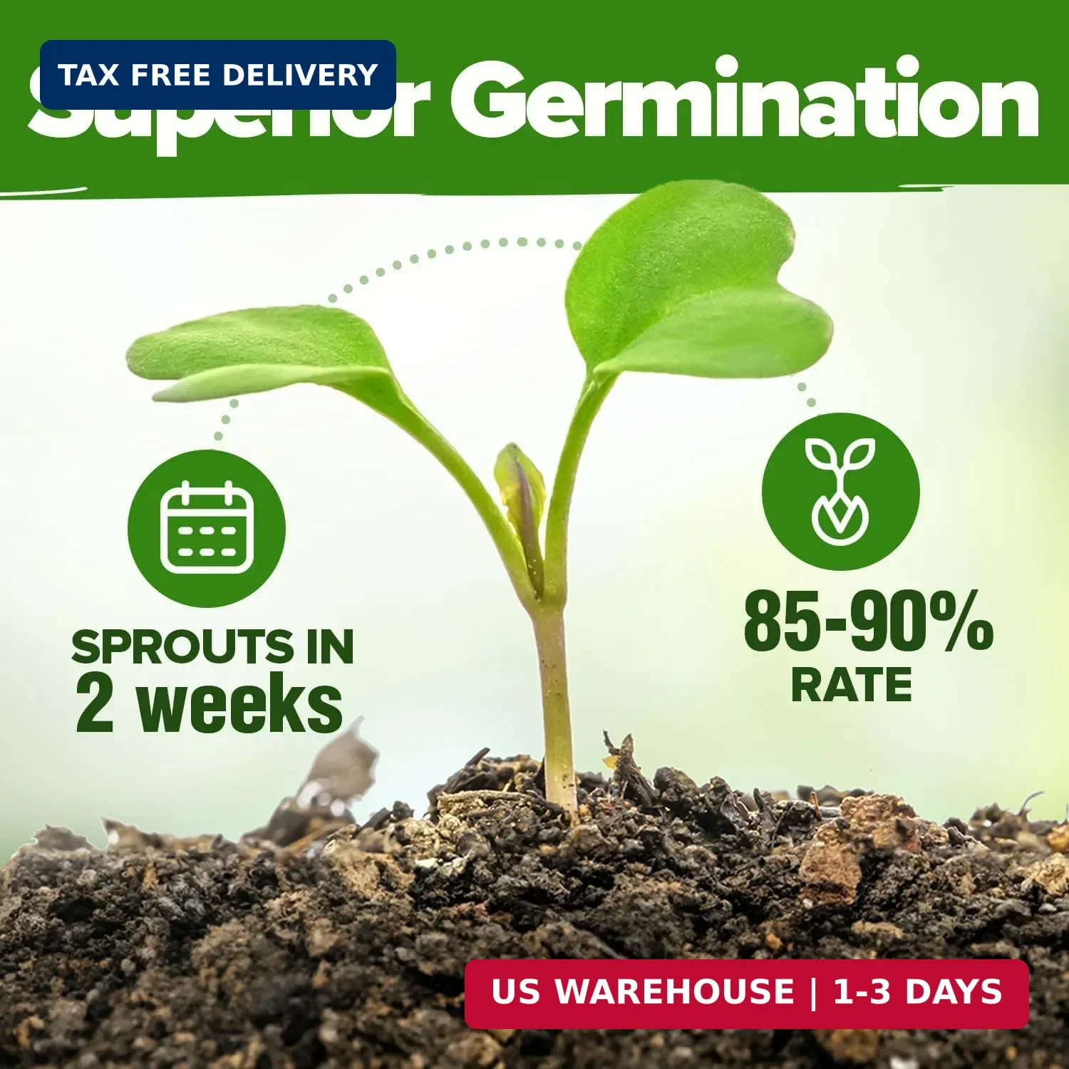 HOME GROWN Premium Herb Seeds Variety Pack – 20 Heirloom Herb Seeds for Planting