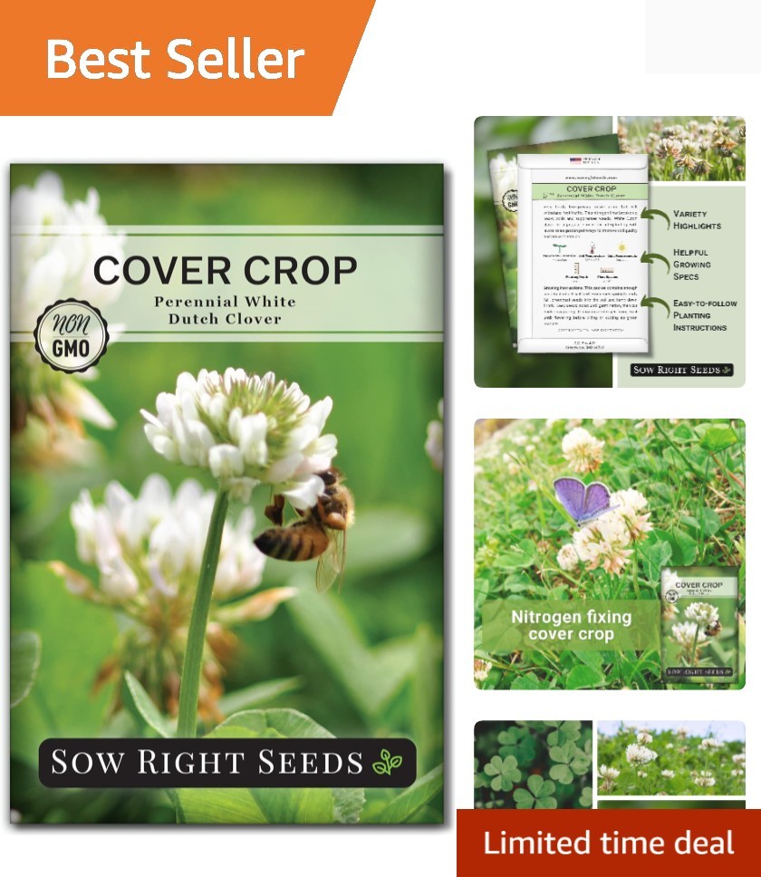 Non-GMO White Dutch Clover Seeds – 1500 Count for Sustainable Gardens