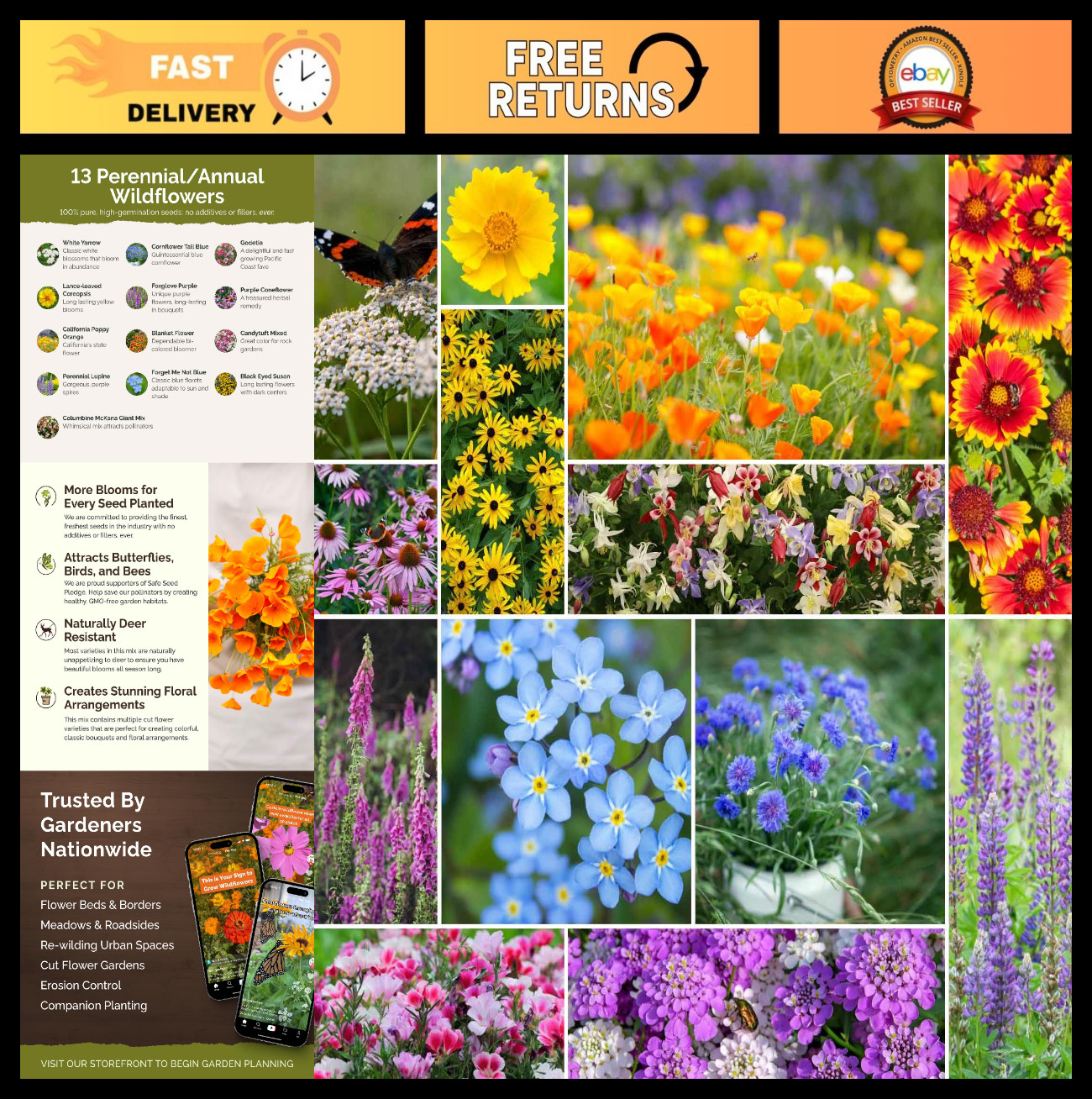 Deer Resistant Wildflower Seed Mix – 120,000+ Seeds, Attracts Pollinators, Plant