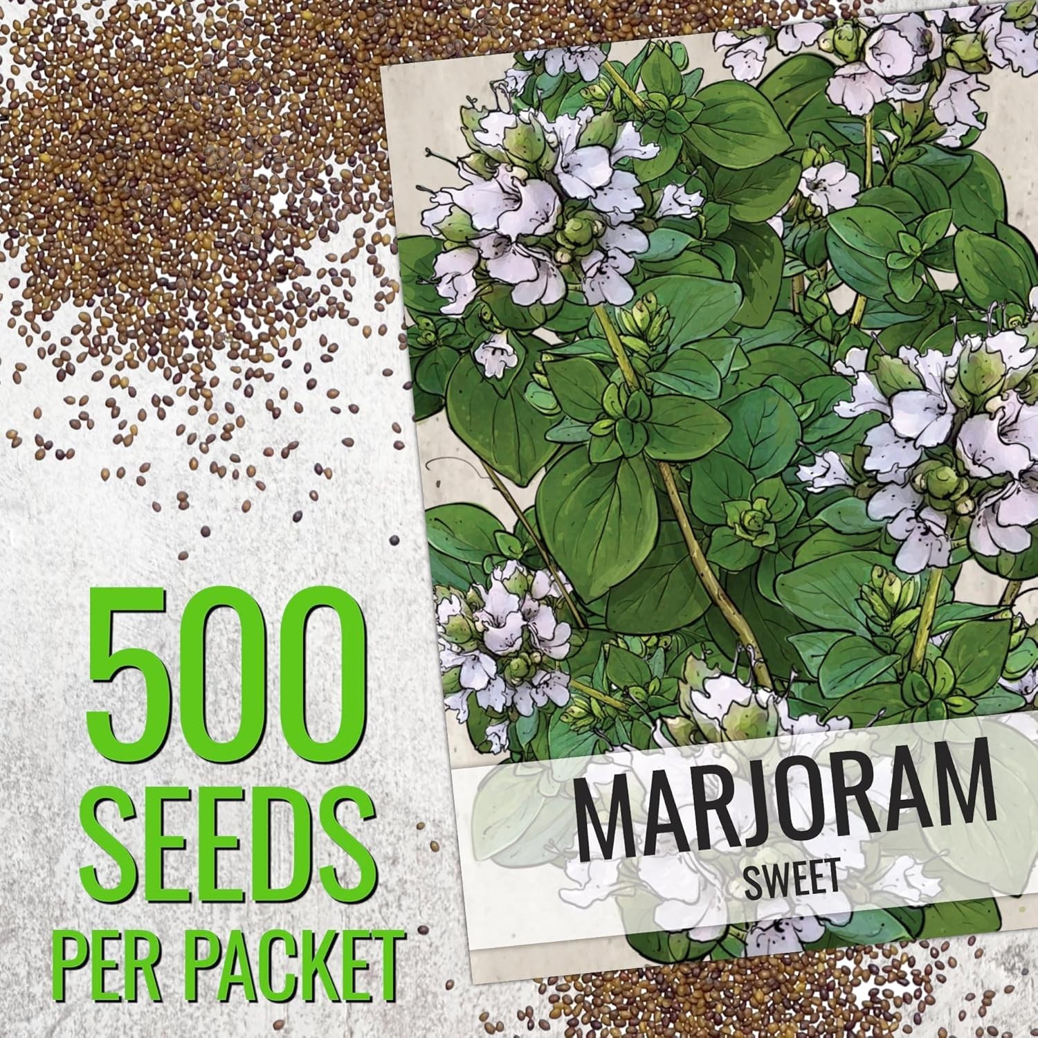 500 Count Non-GMO Sweet Marjoram Seeds – Culinary & Medicinal Herb for Planting