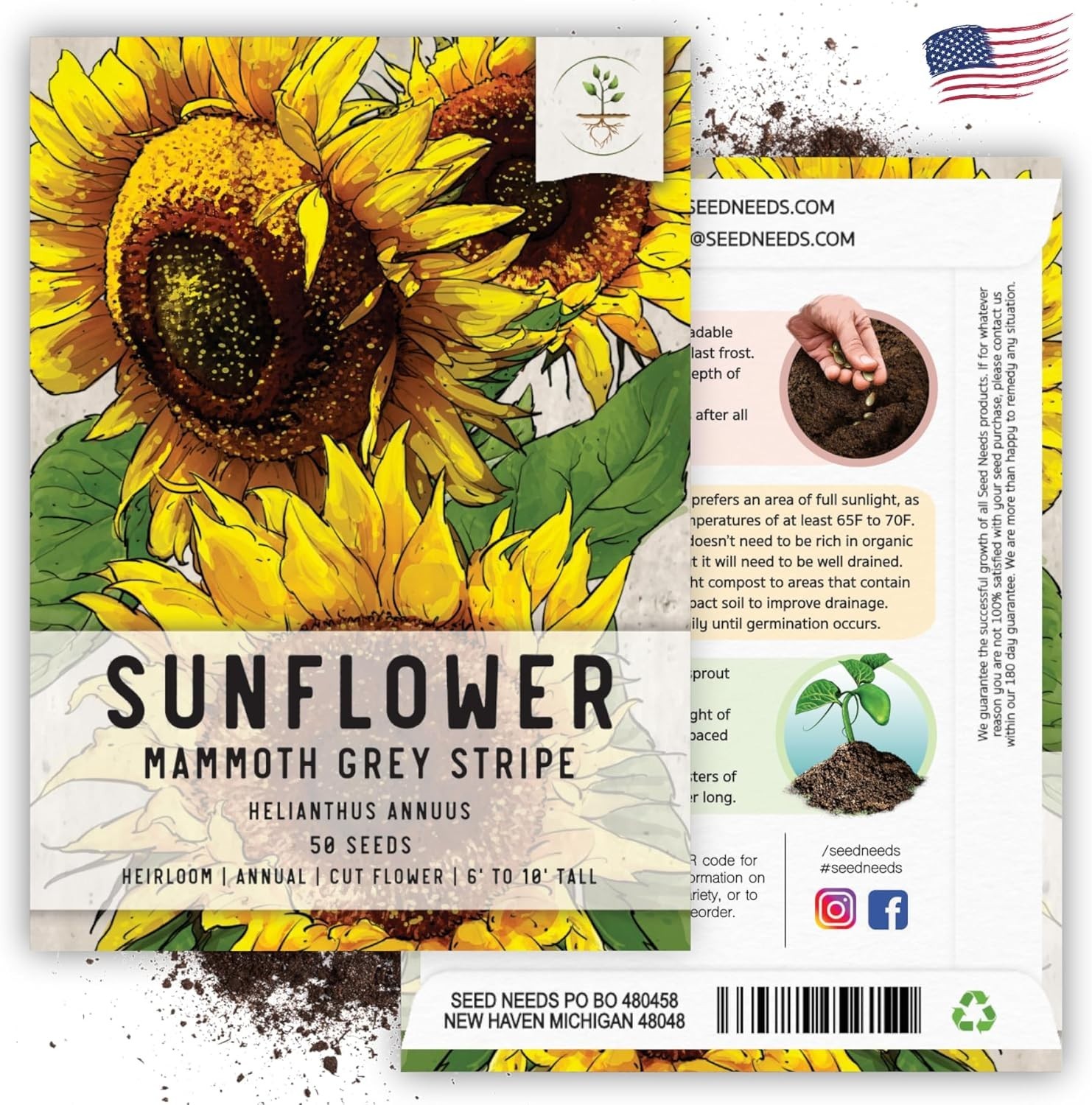 Mammoth Grey Stripe Sunflower Seeds – 50 Heirloom Seeds for a Butterfly Garden