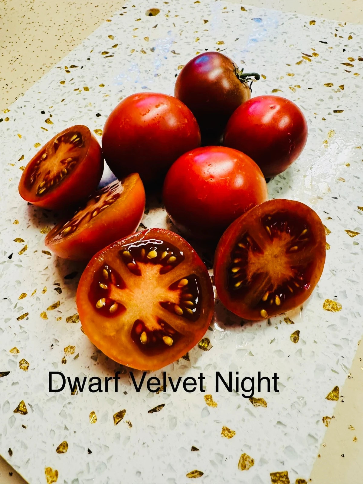 10 seeds Dwarf Velvet Night Tomato Purple cherry ORGANIC Rare Variety DTP