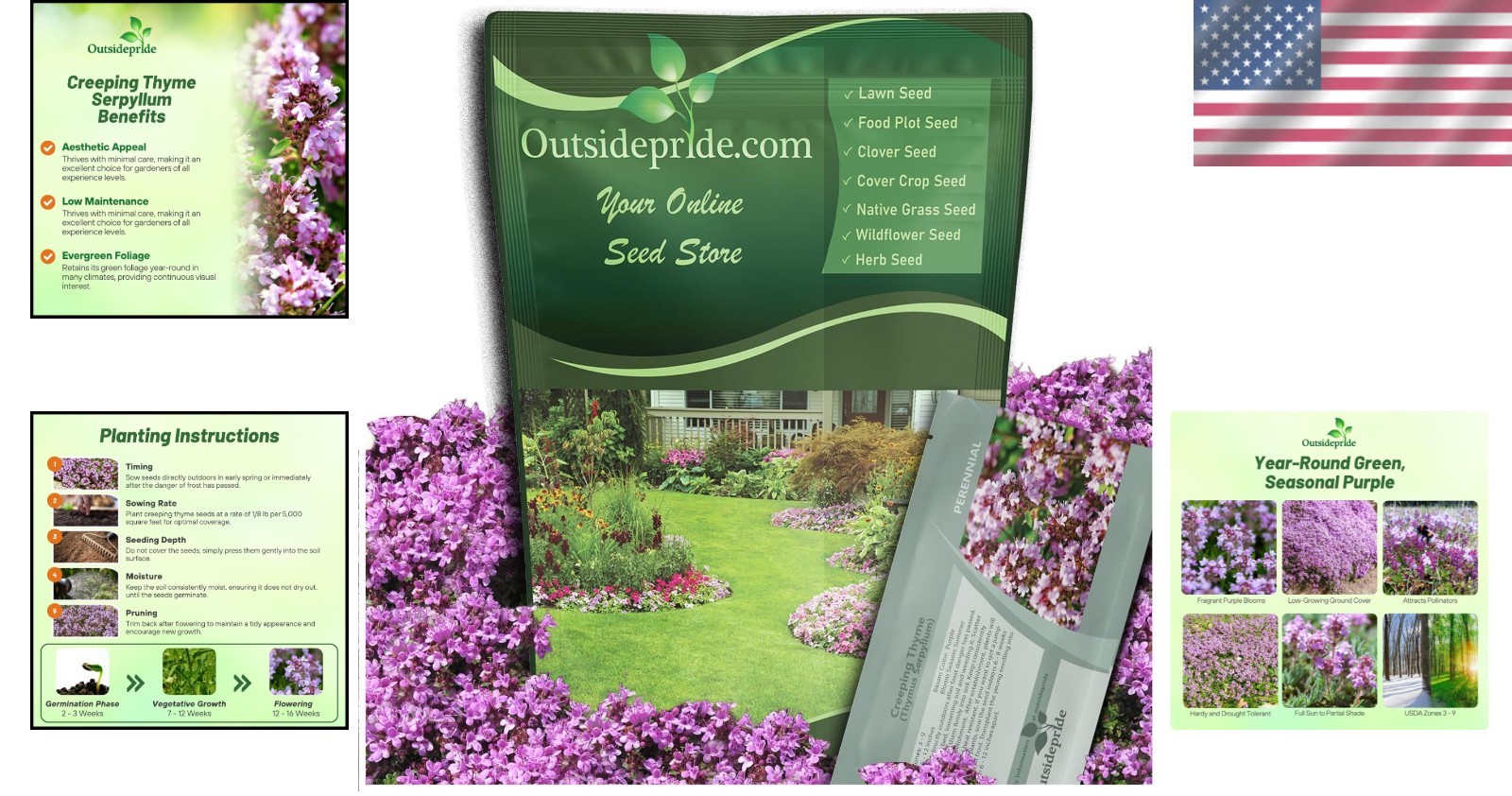 Easy-to-Grow Creeping Thyme Seeds – Fragrant Purple Flowers