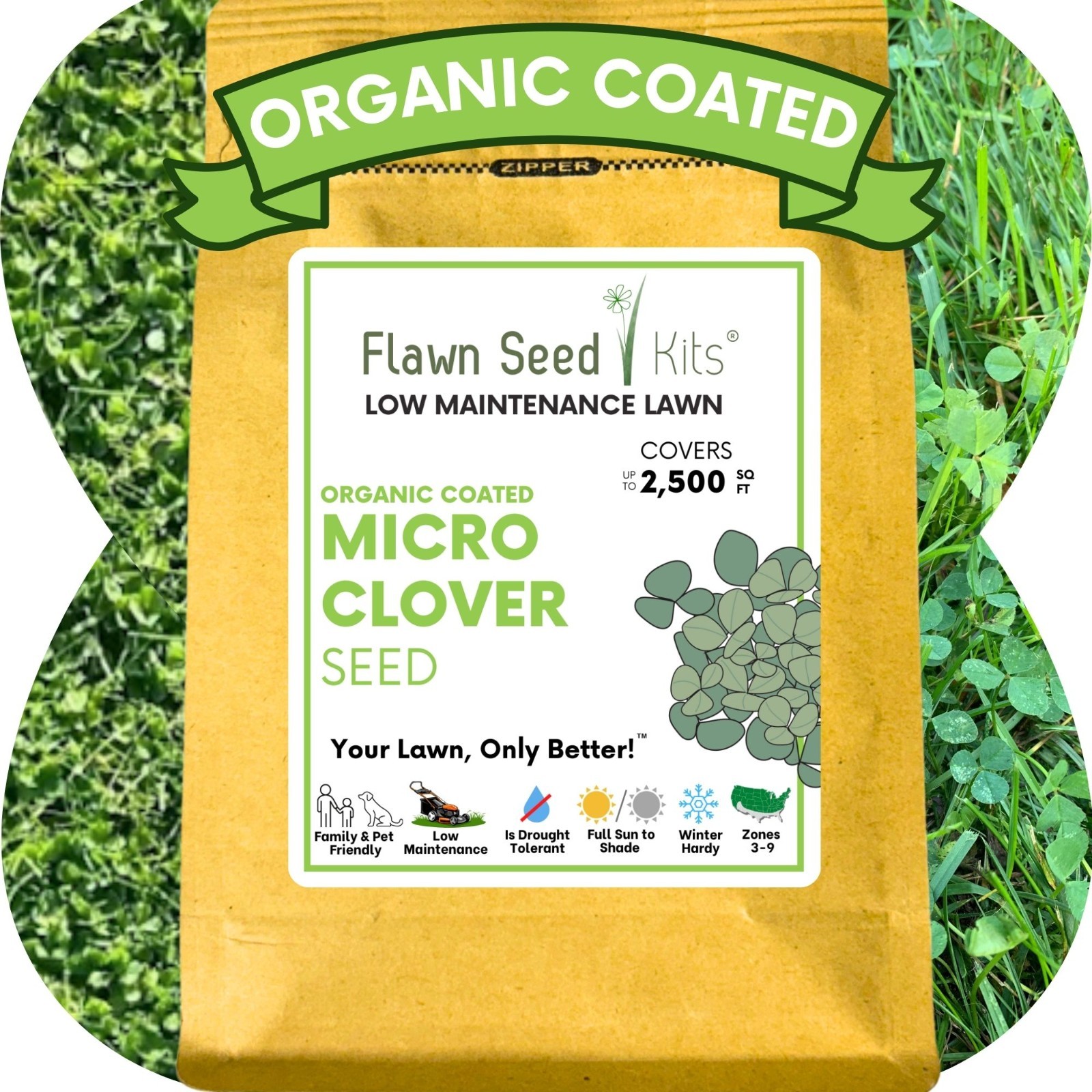 Micro Clover Seed, Organic Coated, Eco-Friendly, Low Growing, Low Maintenance