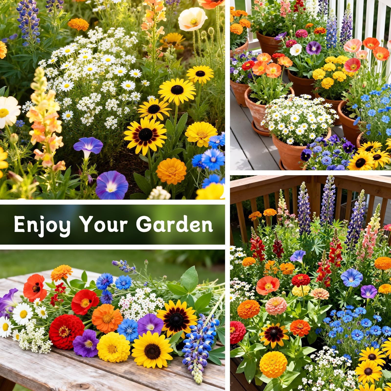 Wildflower Seeds Bulk 10000+ Mix Annual Perennial Garden 2 Oz Packet Pollinator