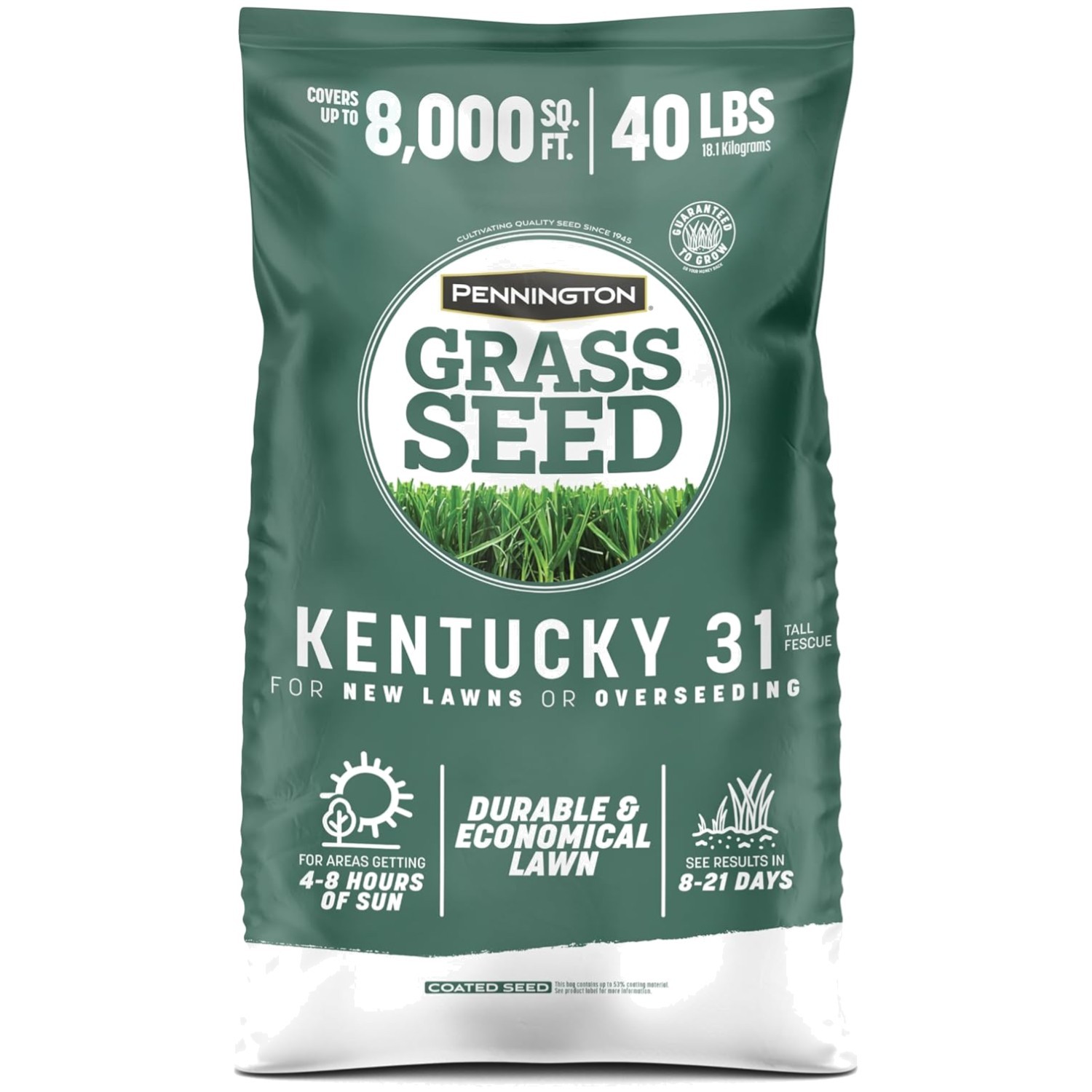 Fast Growing Grass Seed for Lawns – Heat and Rain Resistant