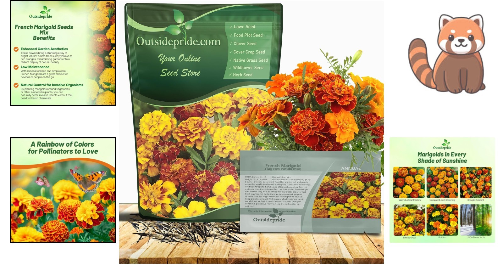 Heat & Drought Tolerant 1000 Pcs French Marigold Seeds – Vibrant Orange & Yellow