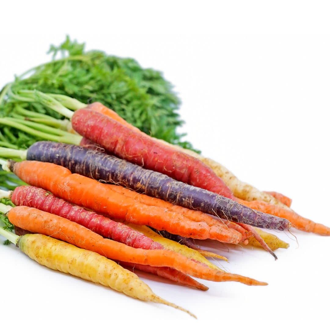 Rainbow Carrot Seeds for Planting | Non-GMO & Heirloom Vegetable Seeds | 750 Car