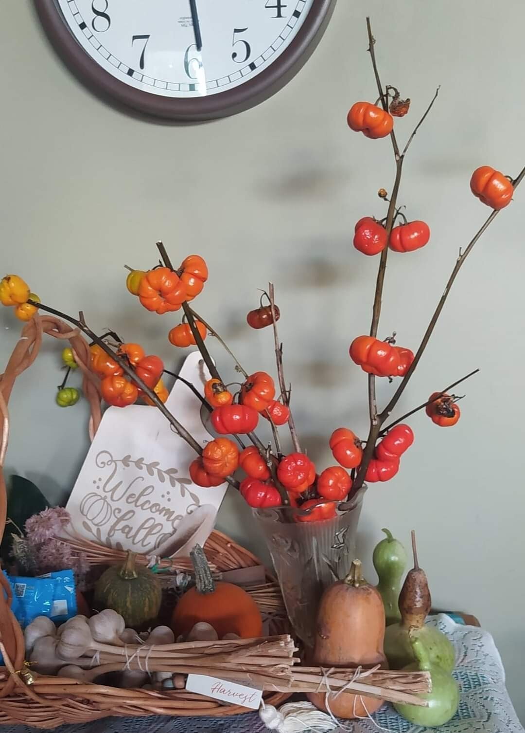 Pumpkin-on-a-stick Seeds (50 seeds), Ornament,Grown in USA. FREE SHIP