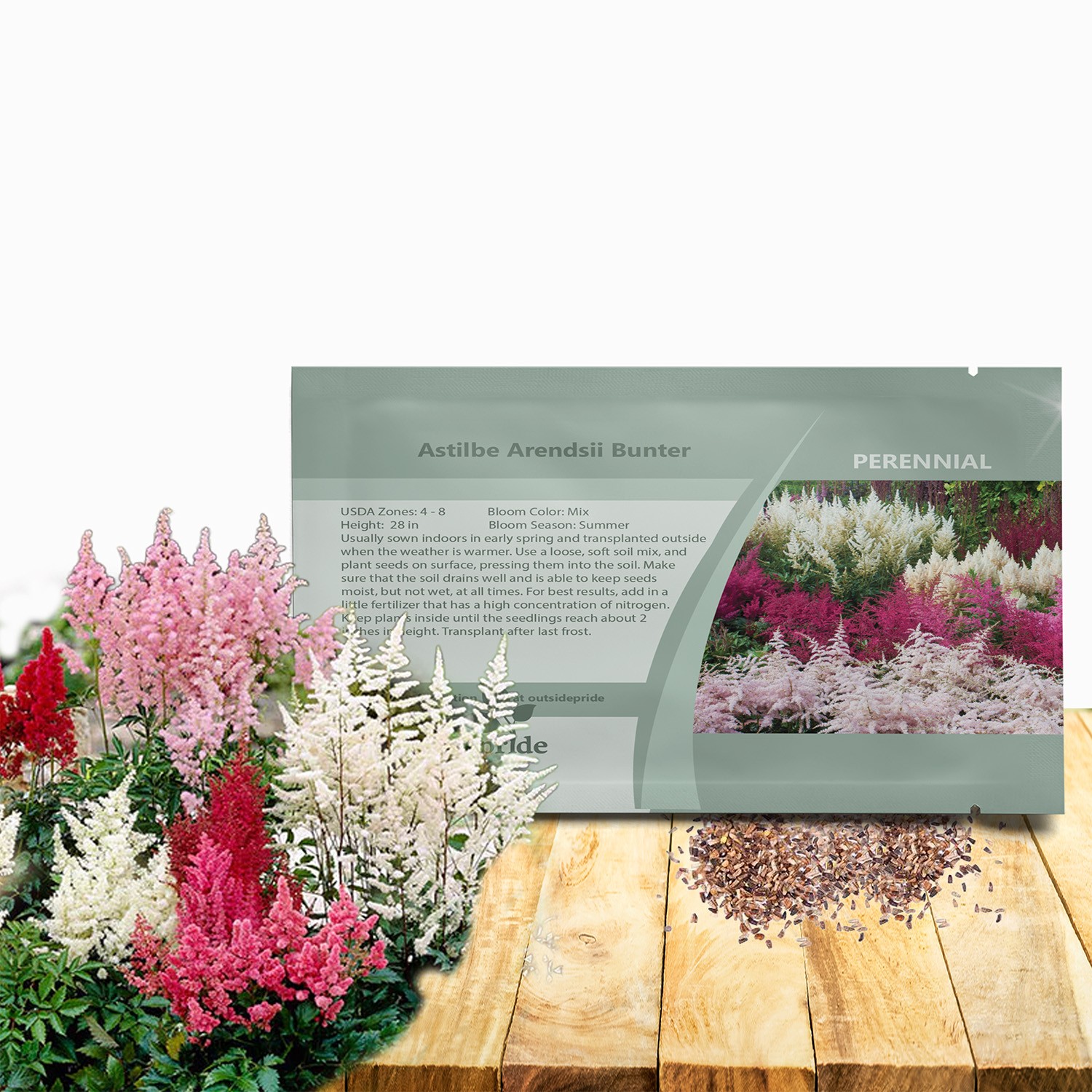 2000 Seeds Astilbe Seed Mix For Planting – Astilbe Arendsii Bunter Flower Seed