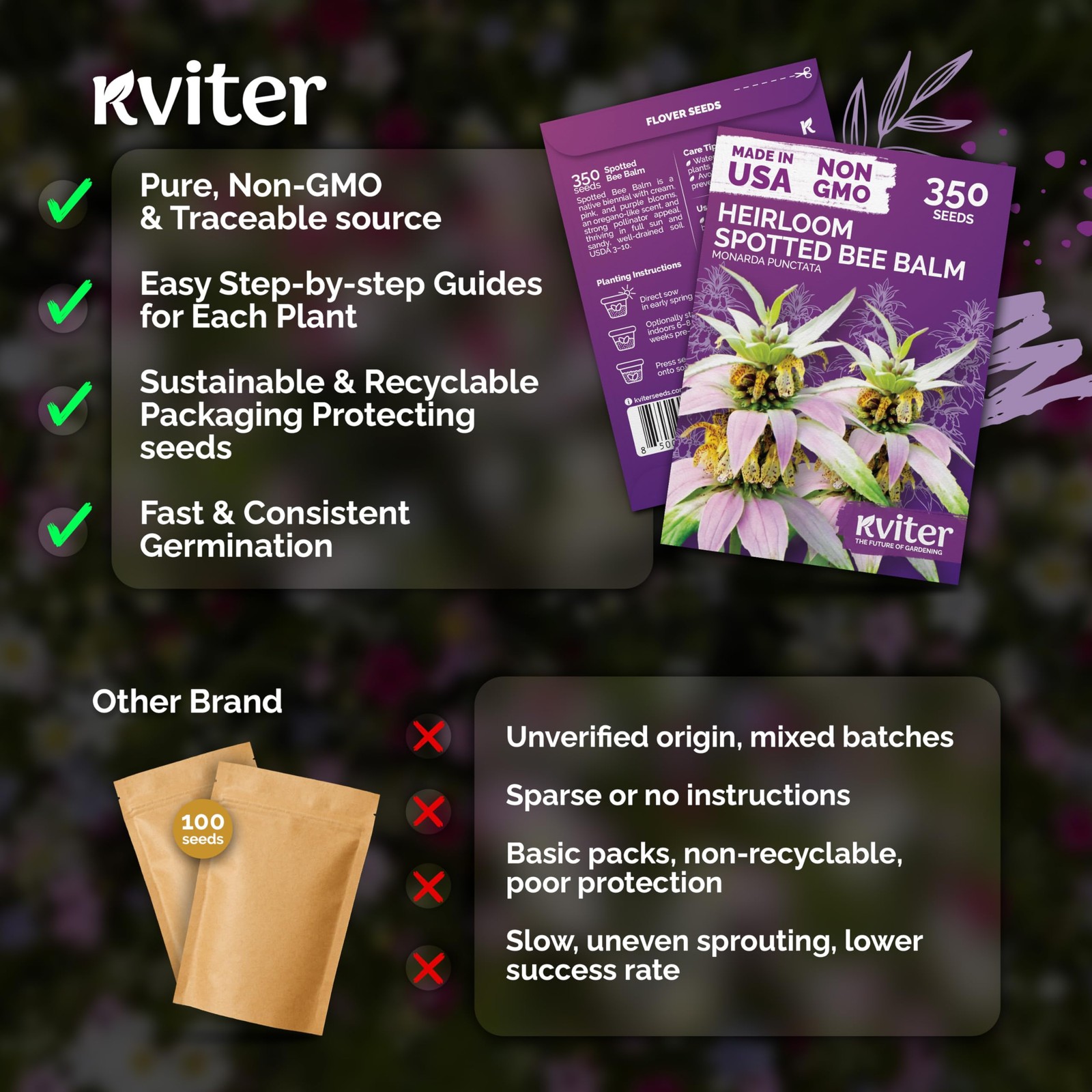 350 Spotted Bee Balm Seeds (Monarda Punctata) – Horsemint, Aromatic Oregano S…