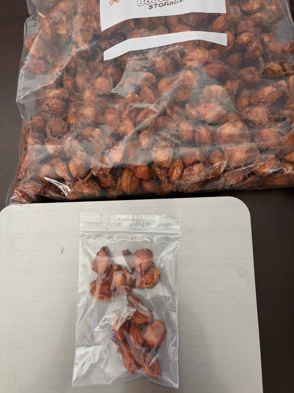 10 seeds Ume Maesil Prunus Mume Non GMO Organic non stratified Ume-Shu Ume-boshi