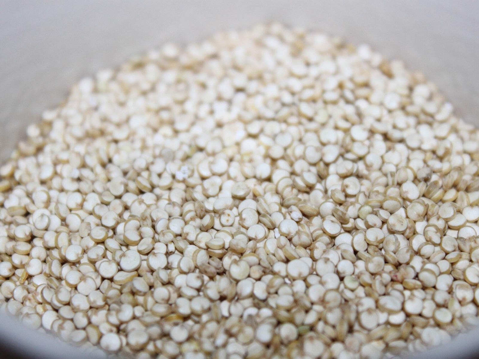 100 Organic PEPPERMINT QUINOA Grain Chenopodium Quinoa White Green – White Seeds