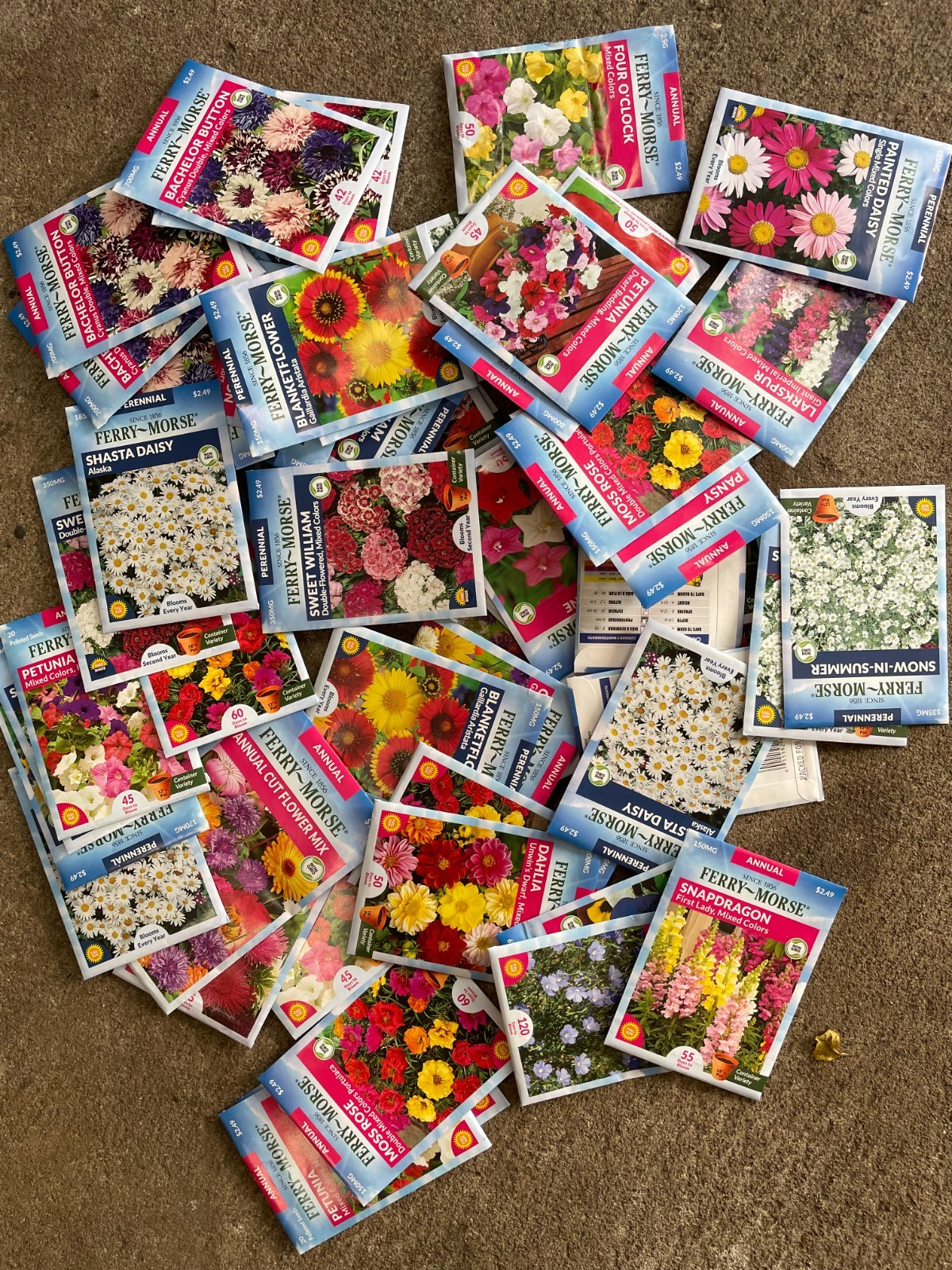 Assortment of flower seeds