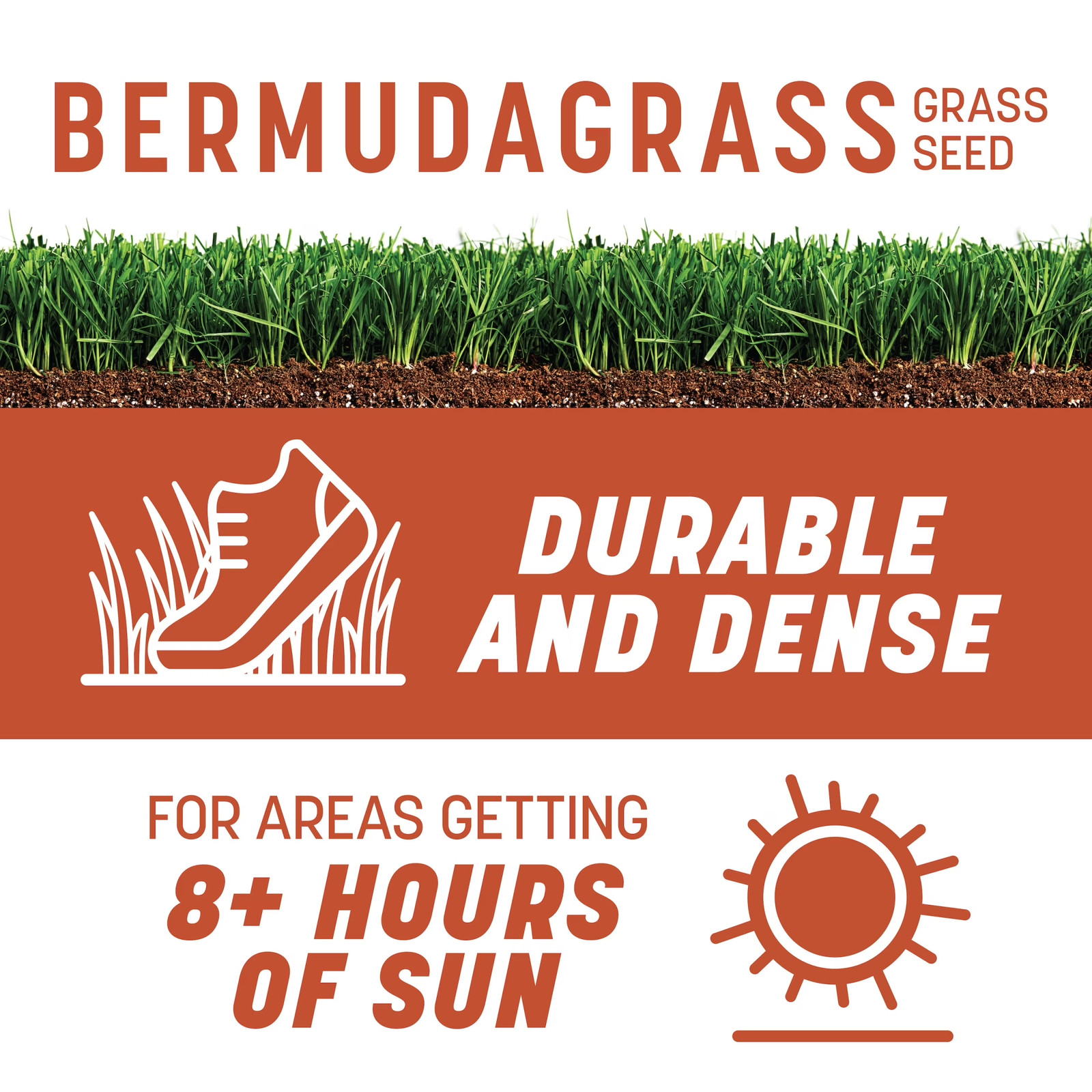 Bermudagrass Grass Seed, for Full Sun, Southern Lawns, 15 Lb Bag