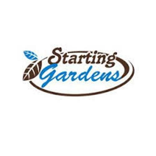 Georgia Collard Greens Seeds, NON-GMO, Heirloom Collard Seed, Multiple Sizes