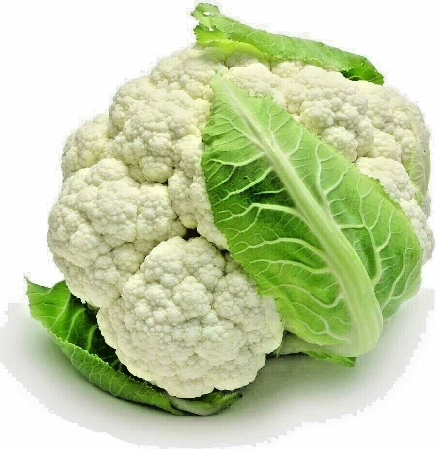600+ CAULIFLOWER SEEDS SNOWBALL SPRING VEGETABLE HUGE HEIRLOOM GARDEN NON-GMO US