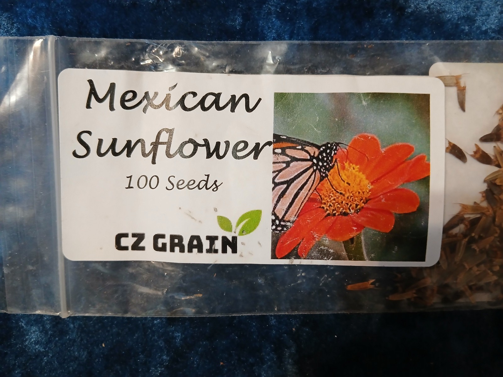 1000+ Double Hollyhock Flower Seeds + 100 Mexican Sunflower Seeds + 1 Unknown