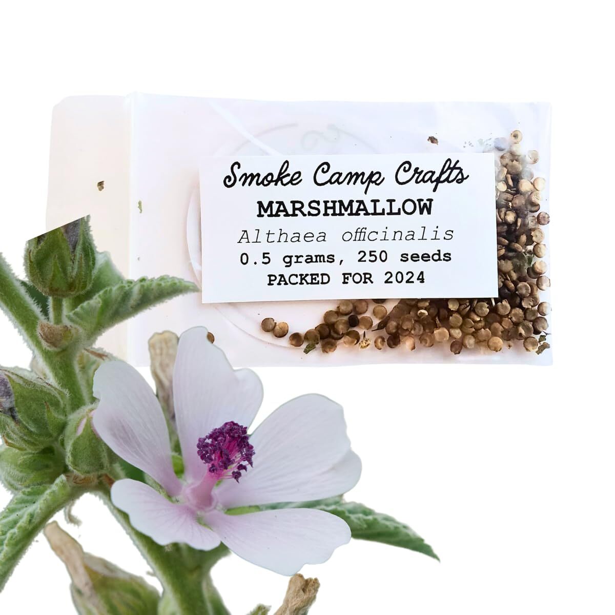 Smoke Camp Crafts Marshmallow Herb Plant Seeds (Althaea officinalis) 250 Seeds