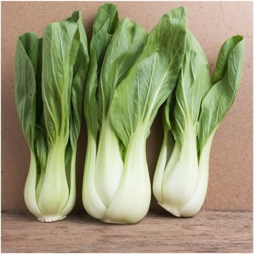 Pak Choy White Stem Cabbage Seeds For Planting (Brassica rapa)