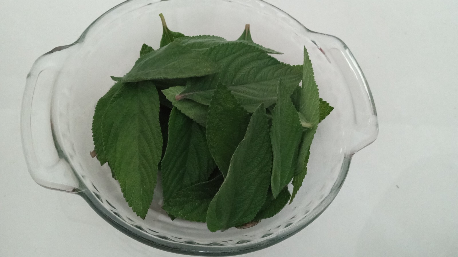 Fresh dry Organic Melissa Tea/ Lemon Balm 1oz $2.99