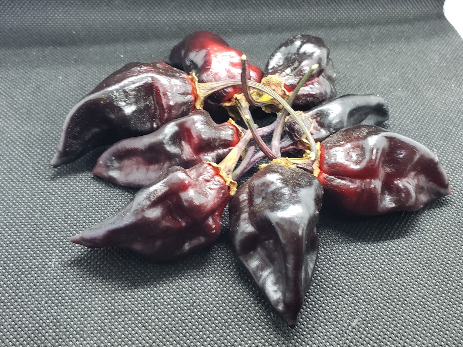 7 Pot Purple Bubblegum Super Hot Pepper Seeds! Black 7BBG Dark Foliage -Tracking