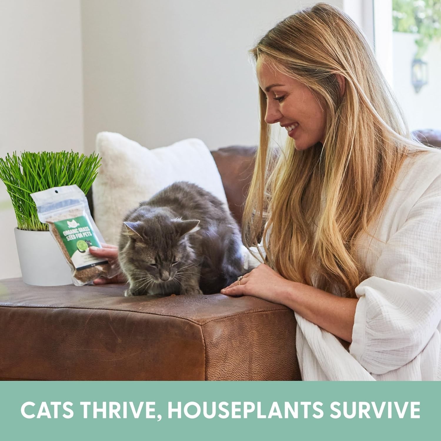 Pet-Friendly Organic Cat Grass Seeds – Grow Fresh Treats -Round 16oz