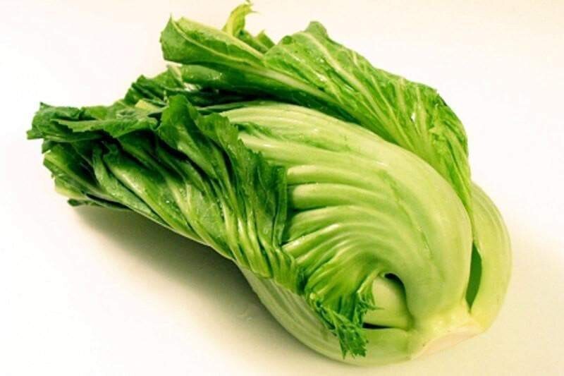 1000+ Kekkyu Takana, Oriental Mustard , Gai Choy, Brassica Juncea, Cải dưa chua