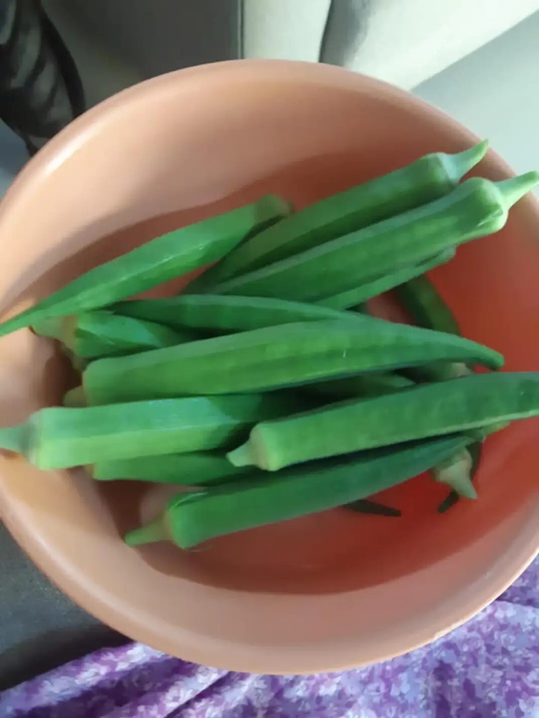 Indian Okra Bhendi vendaikai 20 Seeds Green, Long Pods heirloom OP