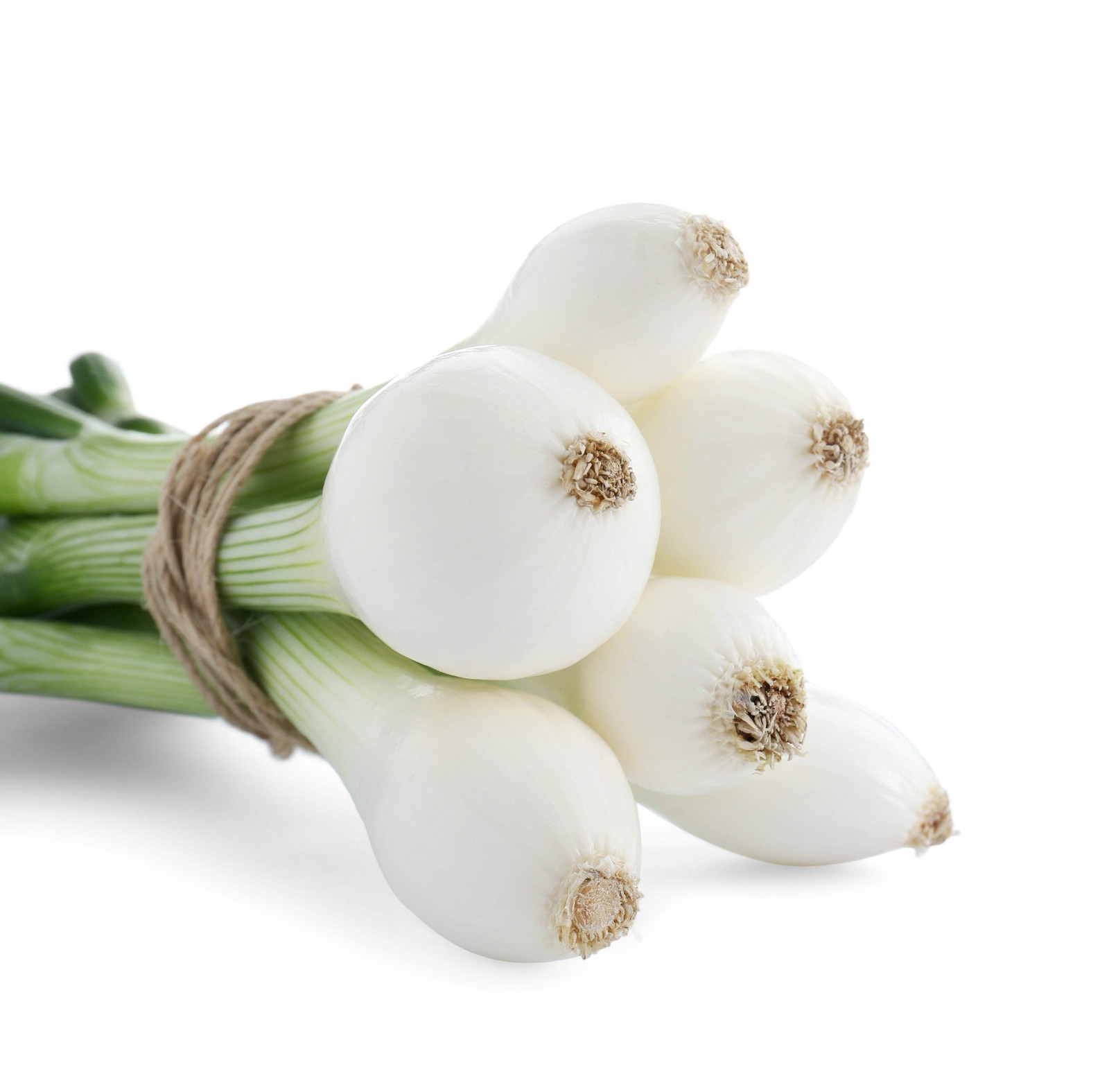 500 SOUTHPORT White Globe BUNCHING ONION Allium Cepa Vegetable Seeds