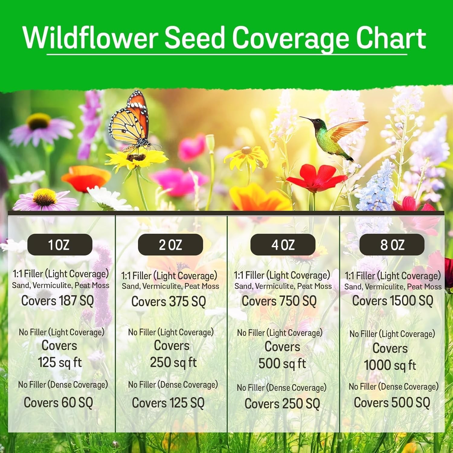 Attract Pollinators with Wildflower Seeds