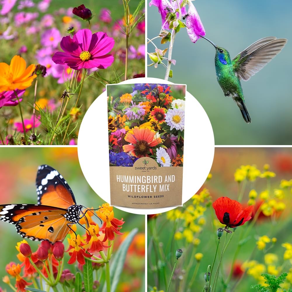 Bulk Wildflower Seeds Butterfly and Humming Bird Mix 1/4 Pound Bag Over 30,…