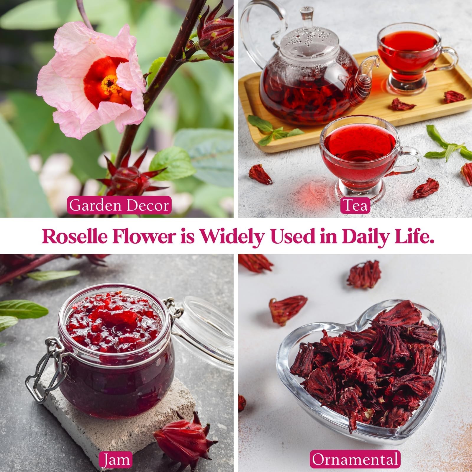 300+ Roselle Seeds – Hibiscus Sabdariffa, Jamaican Sorrel, Red Cranberry Flower