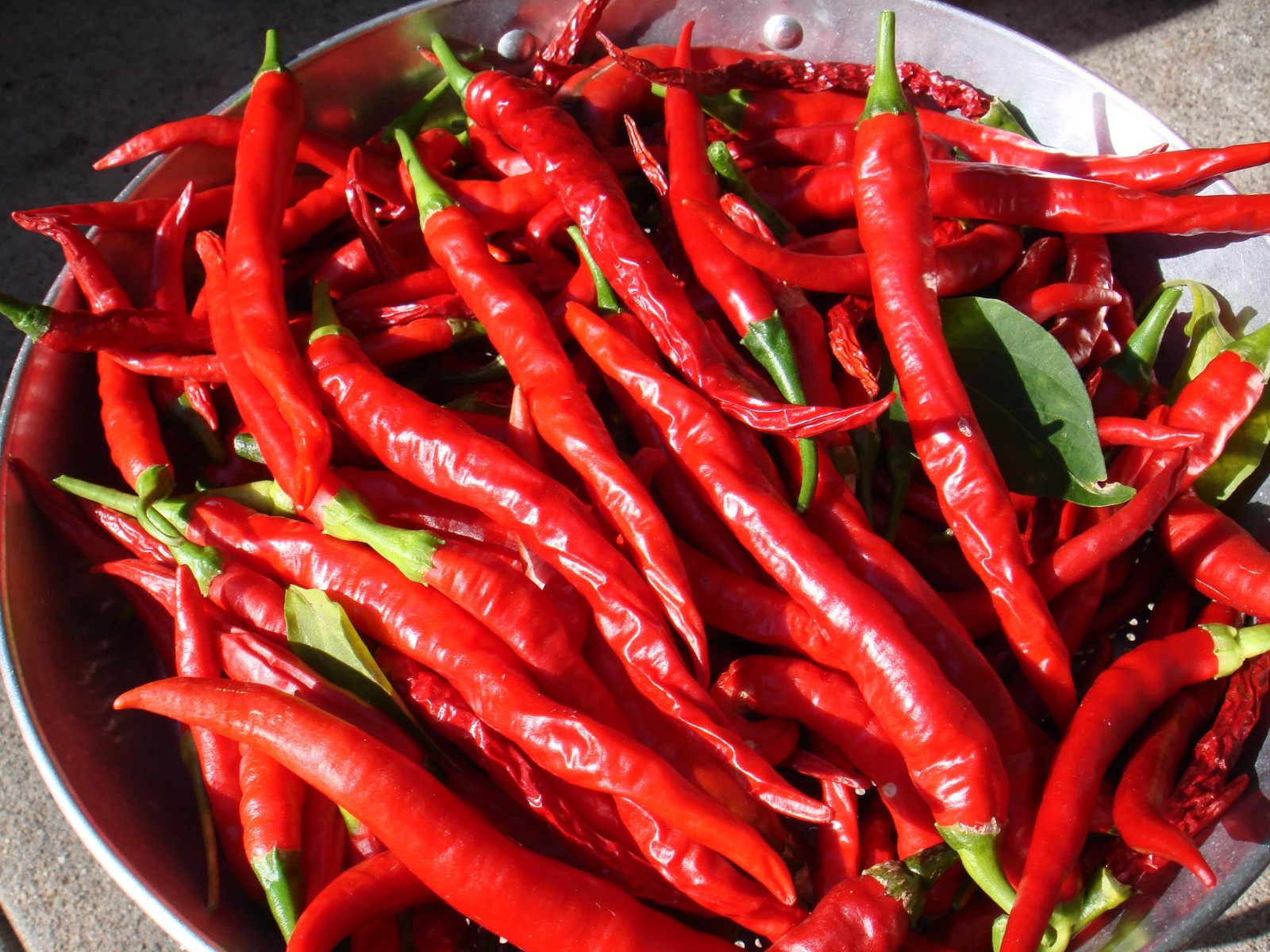 100 Heirloom Long Thin Red Cayenne Pepper Seeds Superior Health Benefits Classic