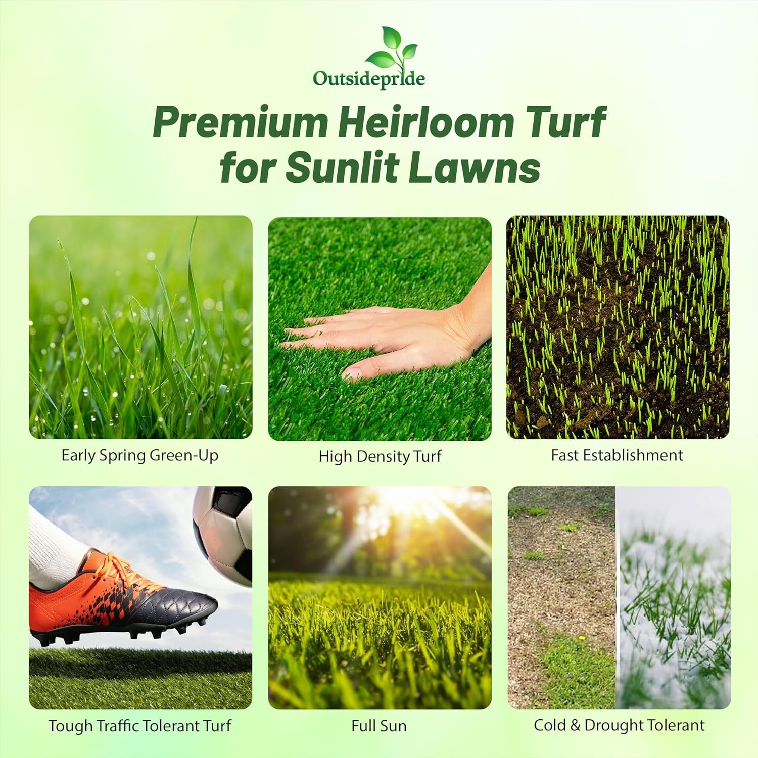 25 LBS Full House Monaco & Hollywood Drought Tolerant Bermuda Grass Seed