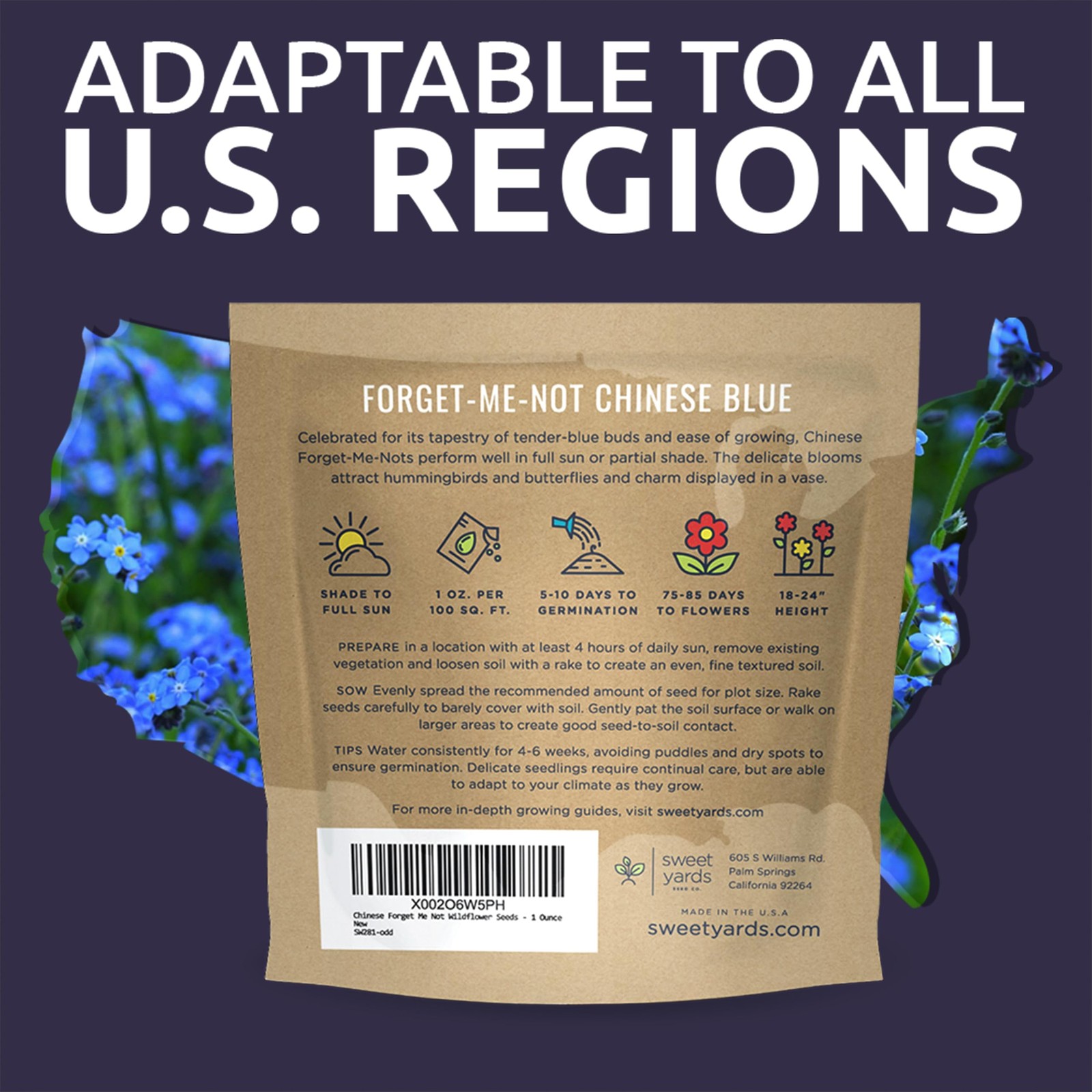 Chinese Forget Me Not Wildflower Seeds Bulk 1 Ounce Packet Over 5,500