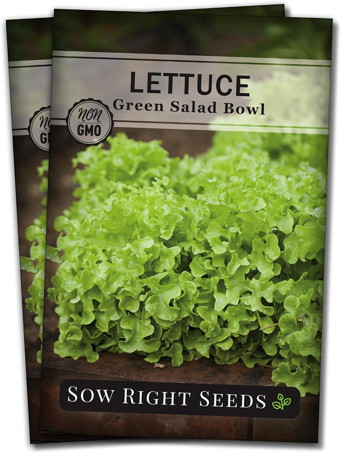 – Green Salad Bowl Lettuce Seeds for Planting – Ideal Spring or Fall Lettuce – G
