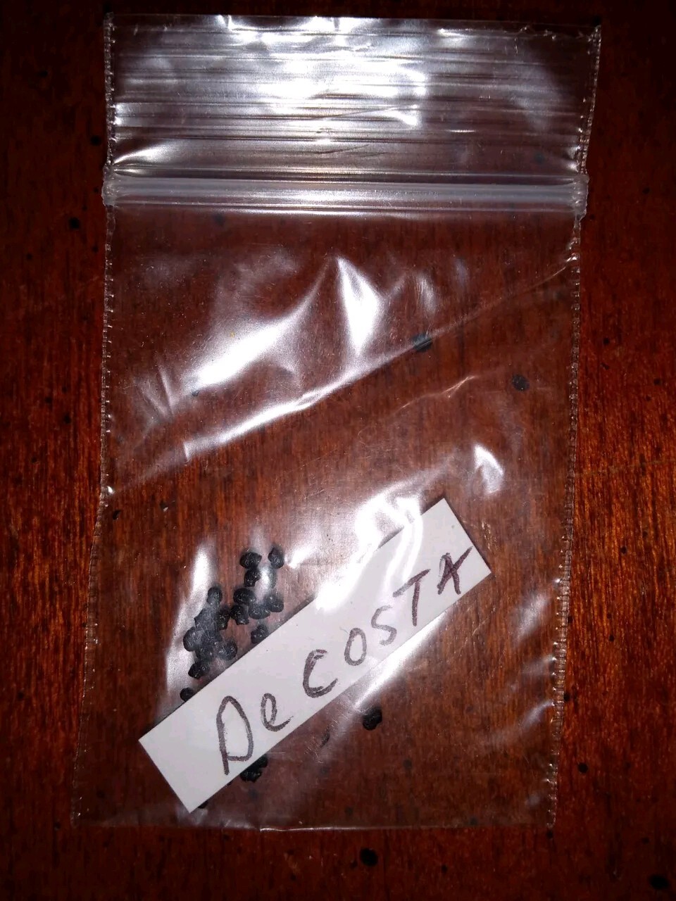 100 NZ “Decosta” OP Pach SEEDS