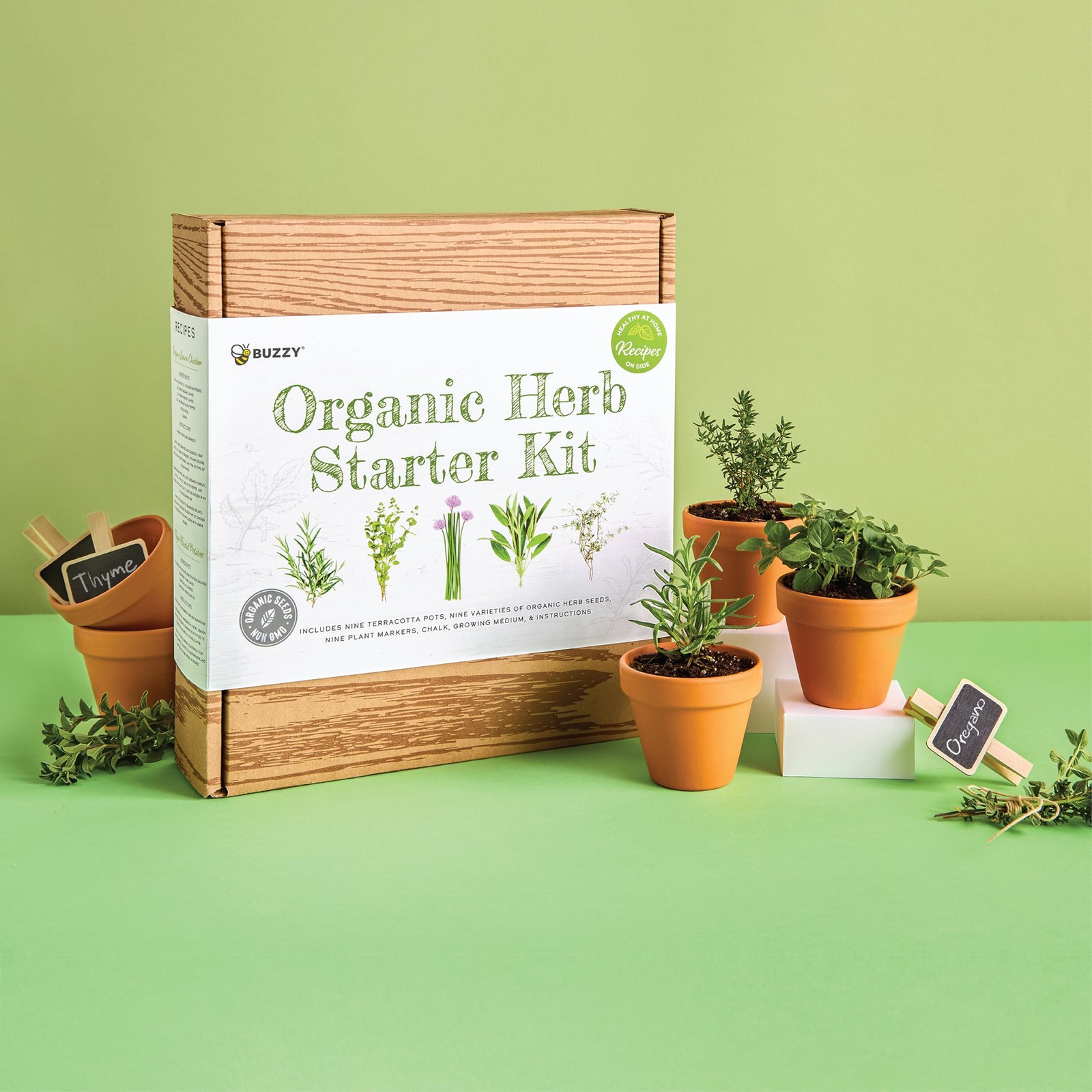 Buzzy Organic Herb Starter Kit – 9 Terracotta Pots, Organic Seeds & Soil Pell…