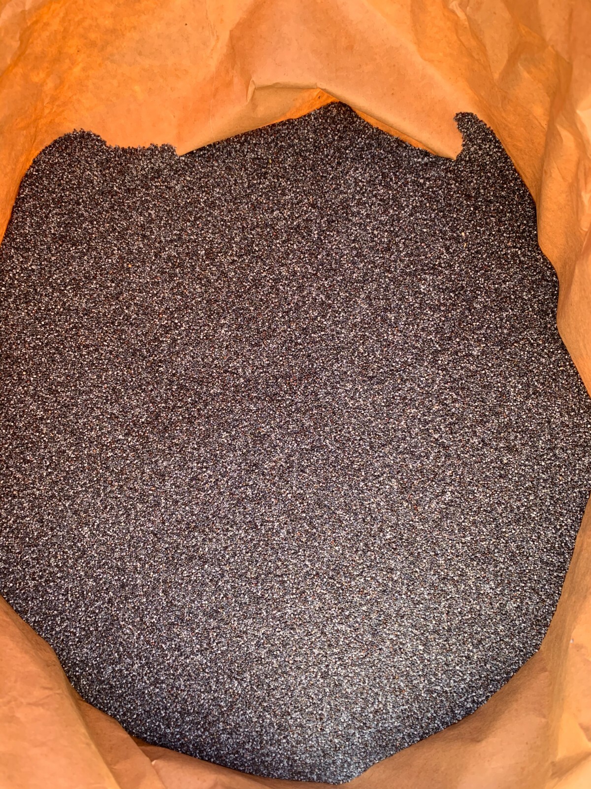 Poppy Seeds 5 lbs pounds Kosher