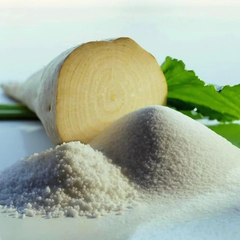 400 Sugar Beet Seeds — Natural Source of Sugar — LARGE