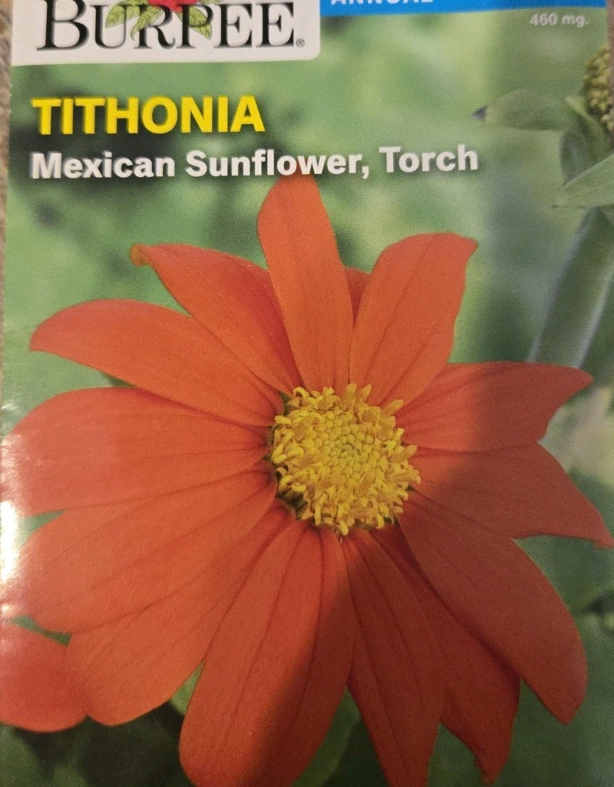Tithonia Mexican Sunflower, Attract Butterflies, Daisy-Like Bloom Burpee seeds