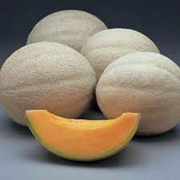MUSKMELLON, HALES BEST JUMBO, HEIRLOOM, 25+ SEEDS, SWEET AND DELICIOUS